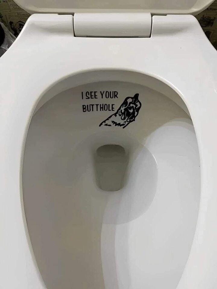 I See Your Butthole Sticker Decal Funny Toilet Viral 6”